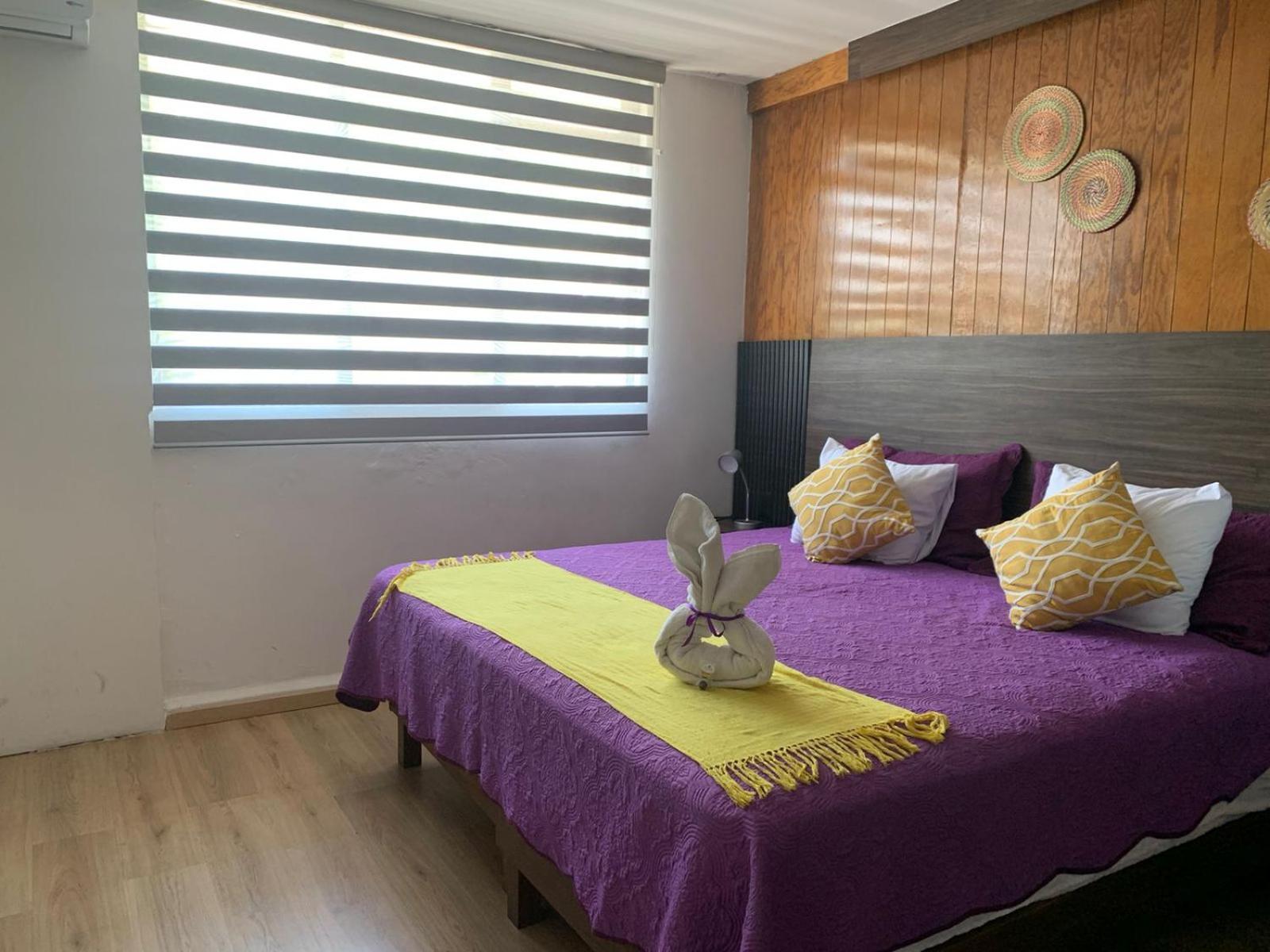 Pino Apartment Oaxaca المظهر الخارجي الصورة