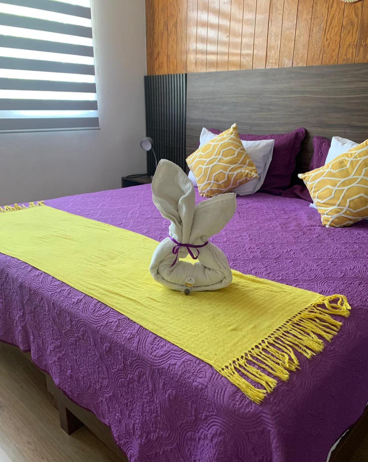 Pino Apartment Oaxaca المظهر الخارجي الصورة