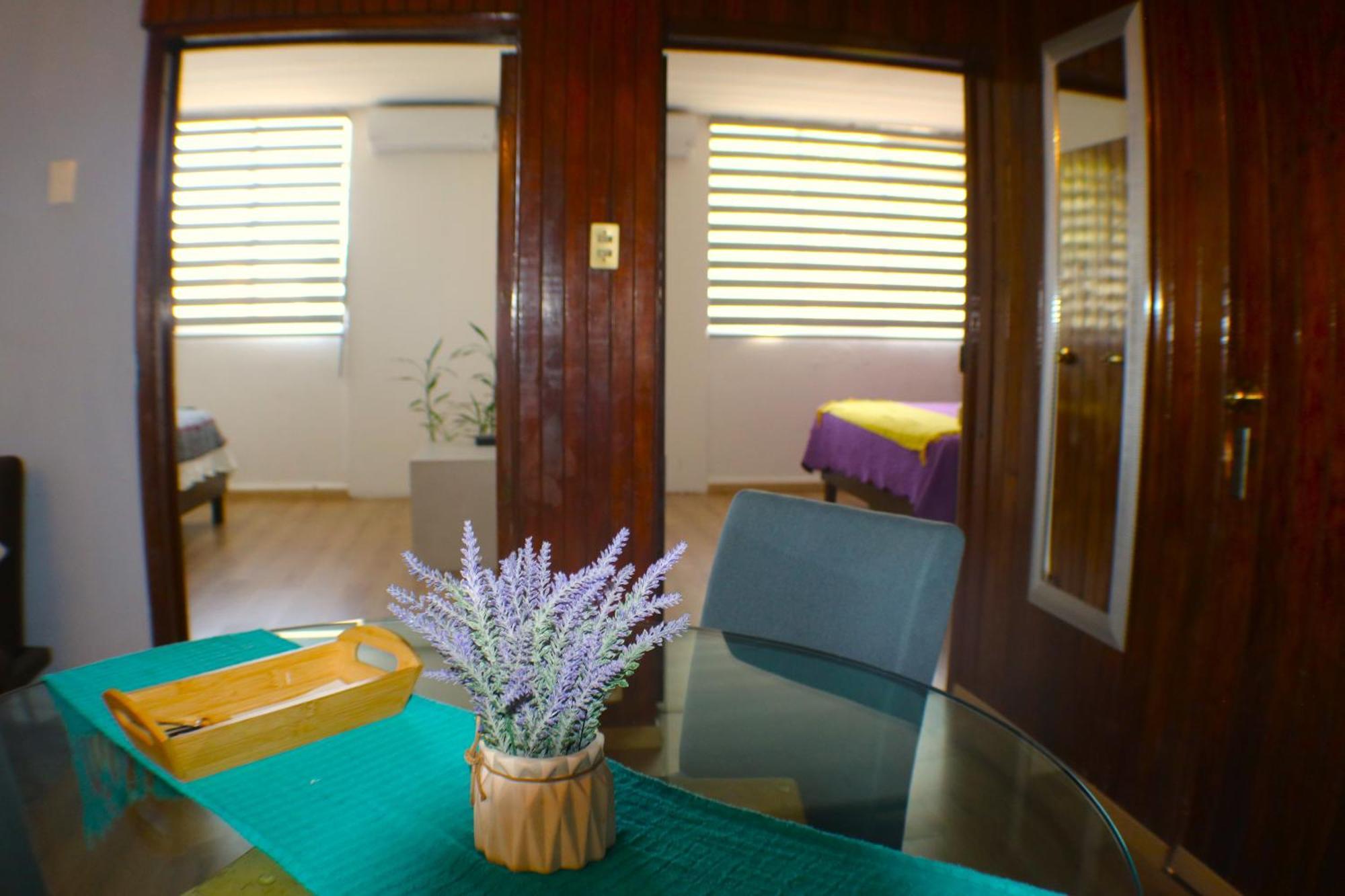 Pino Apartment Oaxaca المظهر الخارجي الصورة